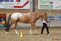 24-ApHC HIH_084